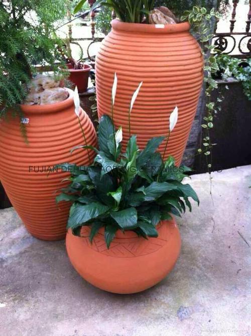 陶瓷花盆 - 福建省 - 生产商 - 产品目录